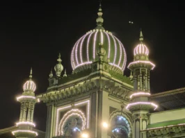 Samsung Galaxy S23 FE camera sample